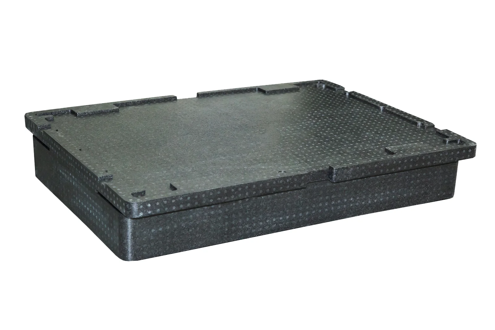 EV 2020 EPP battery dunnage tray.